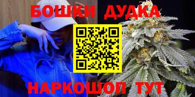 крисы Краснодар