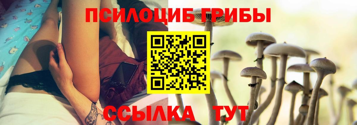 Псилоцибиновые грибы ЛСД  наркотики  Ессентуки  Вход с VPN 
